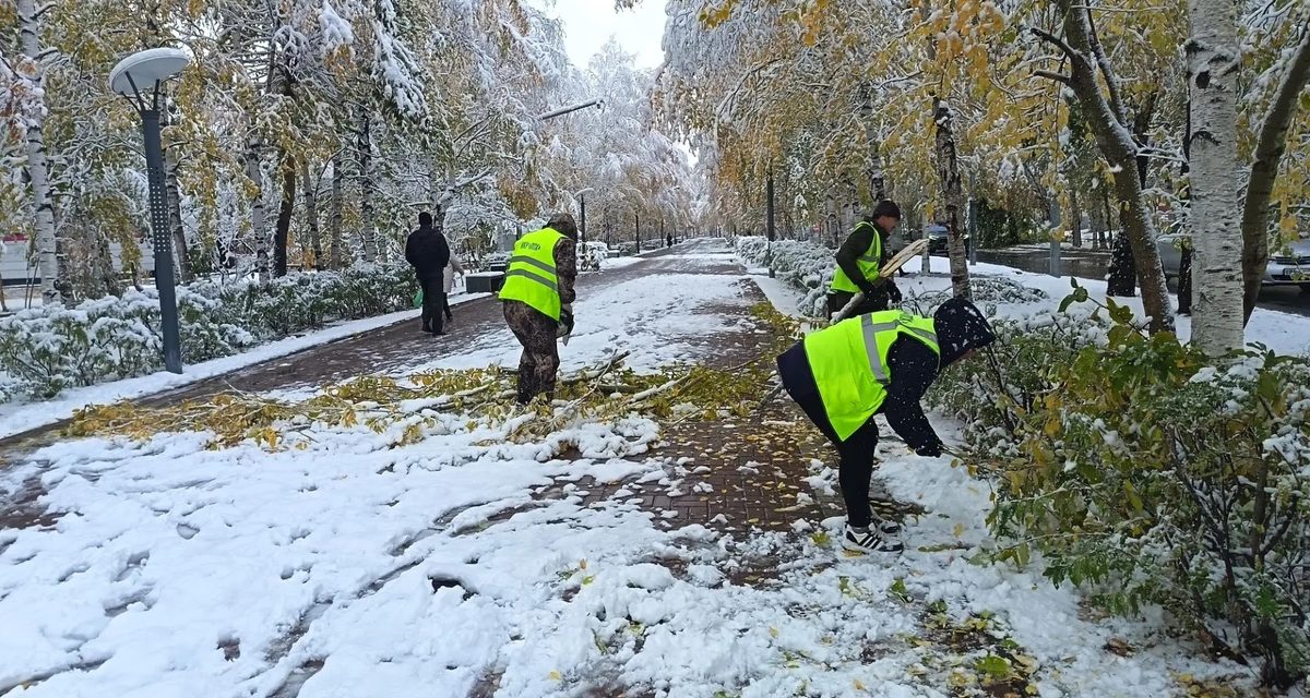 В Сургуте после непогоды убирают деревья и восстанавливают электричество